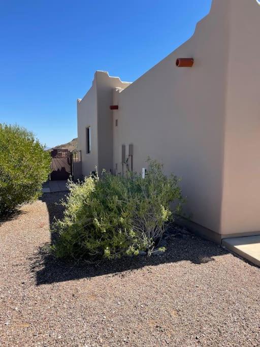 Tucson Mnt Foothills Saguaro Bliss Villa Ngoại thất bức ảnh