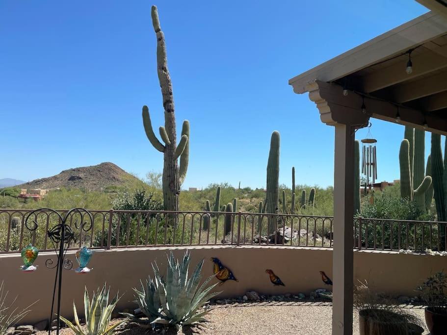 Tucson Mnt Foothills Saguaro Bliss Villa Ngoại thất bức ảnh