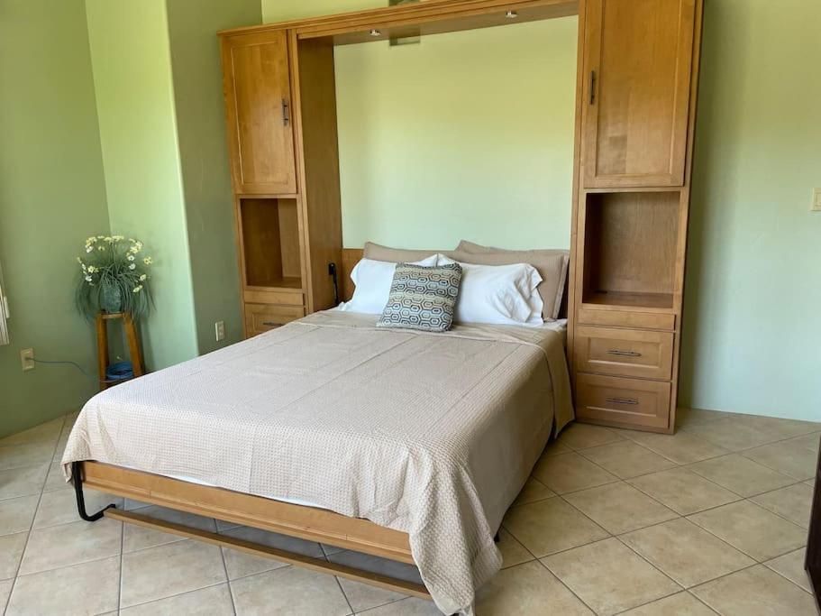 Tucson Mnt Foothills Saguaro Bliss Villa Ngoại thất bức ảnh