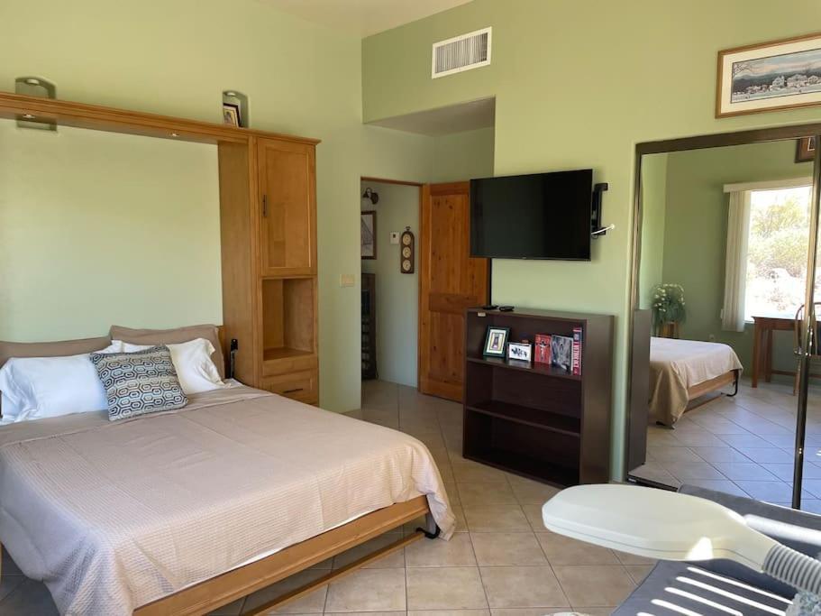 Tucson Mnt Foothills Saguaro Bliss Villa Ngoại thất bức ảnh