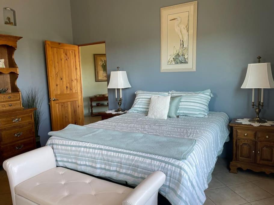 Tucson Mnt Foothills Saguaro Bliss Villa Ngoại thất bức ảnh