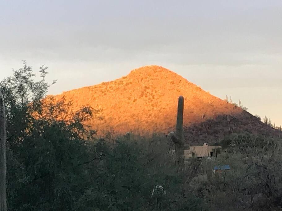 Tucson Mnt Foothills Saguaro Bliss Villa Ngoại thất bức ảnh