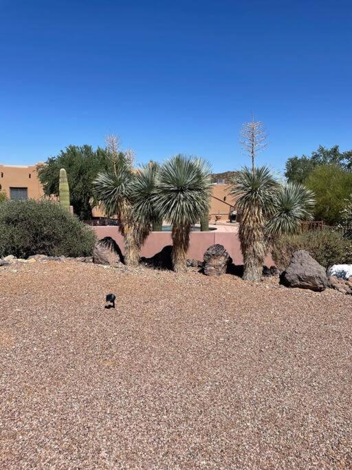 Tucson Mnt Foothills Saguaro Bliss Villa Ngoại thất bức ảnh